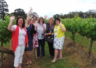 tailored wine tours